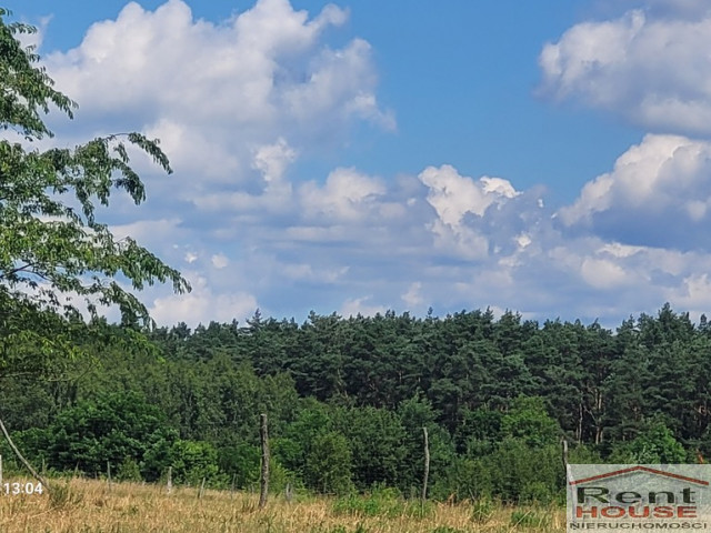 Działka Sprzedaż Wiśniewo