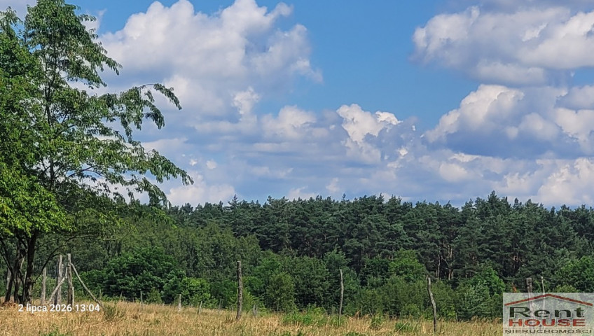 Działka Sprzedaż Wiśniewo