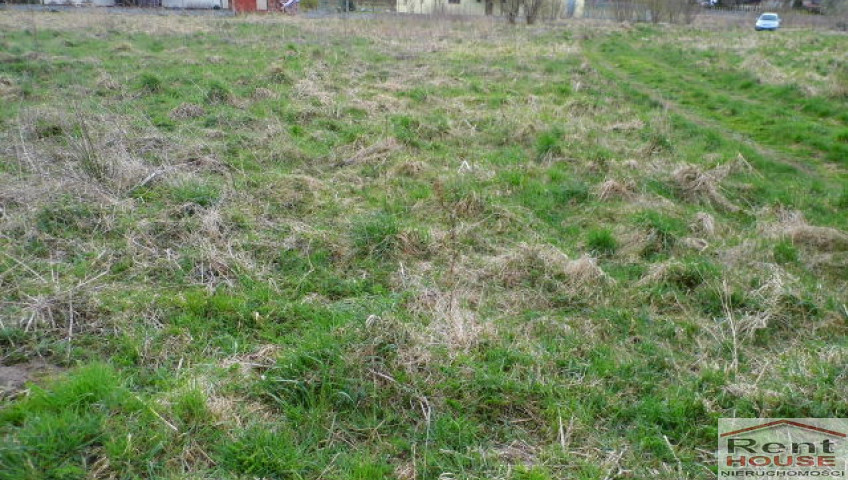 Działka Sprzedaż Brzózki