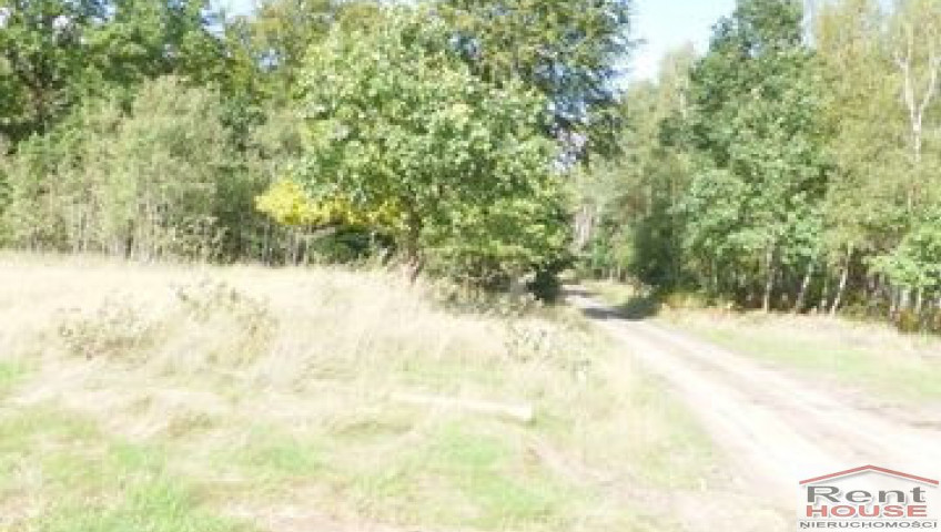 Działka Sprzedaż Grzepnica