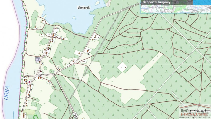 Działka Sprzedaż Bielinek