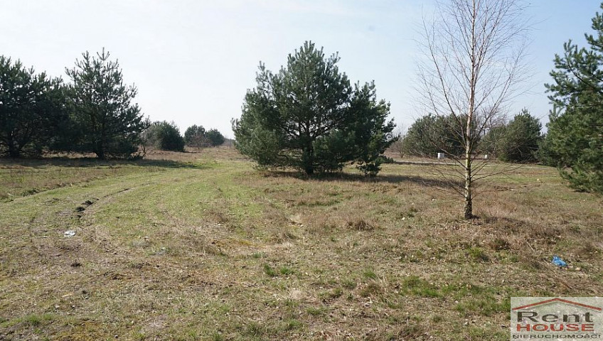 Działka Sprzedaż Rurzyca
