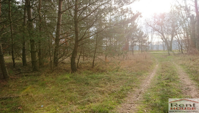 Działka Sprzedaż Starzyce