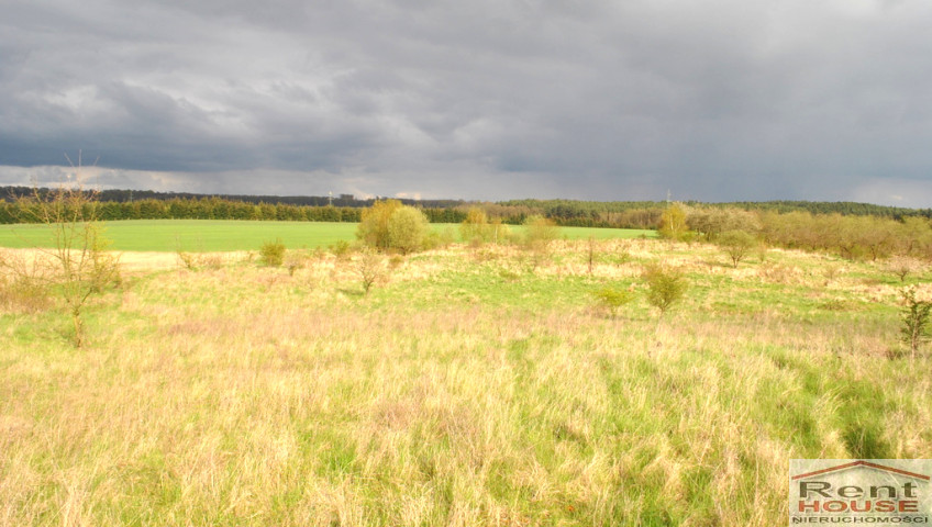 Działka Sprzedaż Binowo