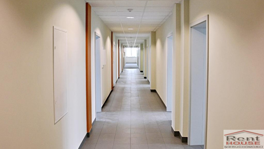 Lokal Wynajem Szczecin Śródmieście