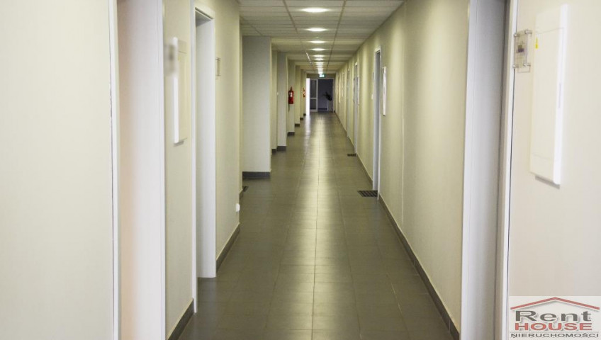 Lokal Wynajem Szczecin Śródmieście