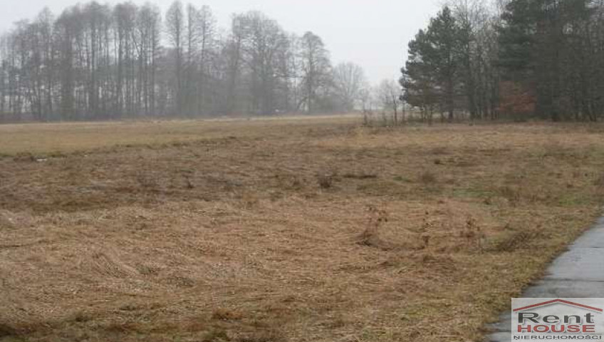Działka Sprzedaż Stepnica