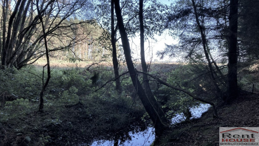 Działka Sprzedaż Krzepocin