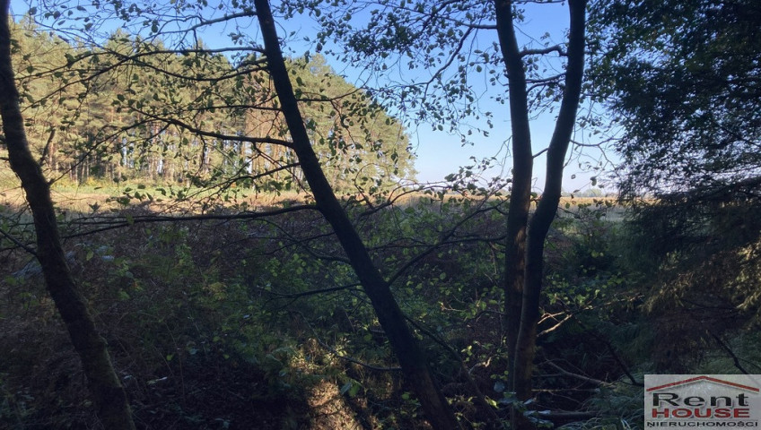 Działka Sprzedaż Krzepocin