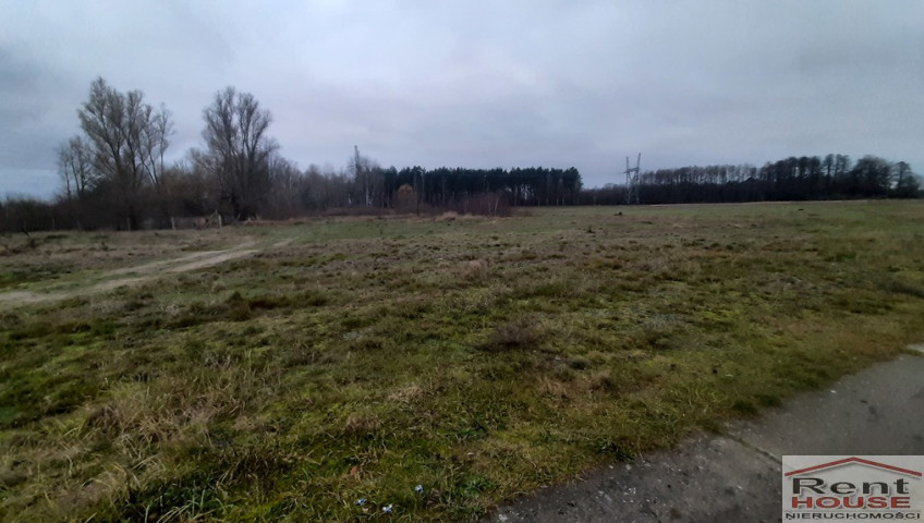 Działka Sprzedaż Stepnica