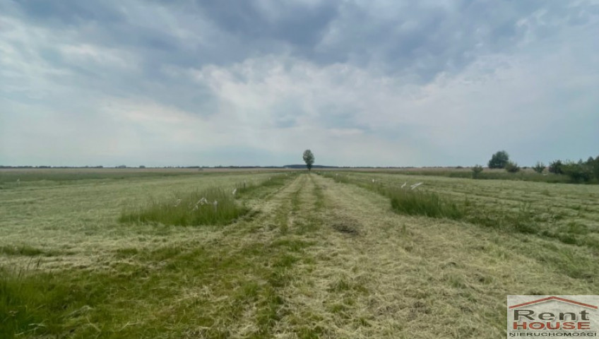 Działka Sprzedaż Wierzbno