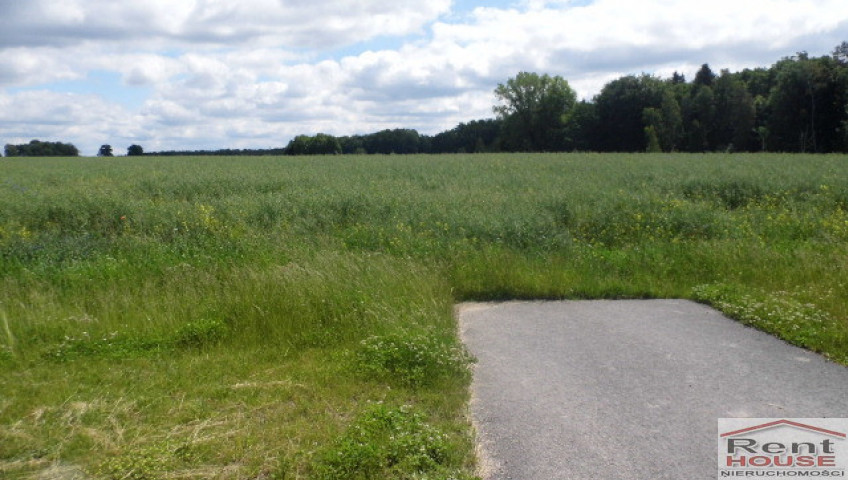 Działka Sprzedaż Olchowo