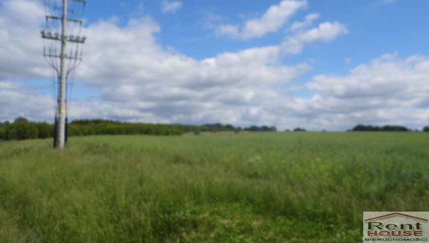 Działka Sprzedaż Olchowo