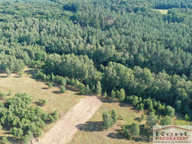 Działka Sprzedaż Krzywice