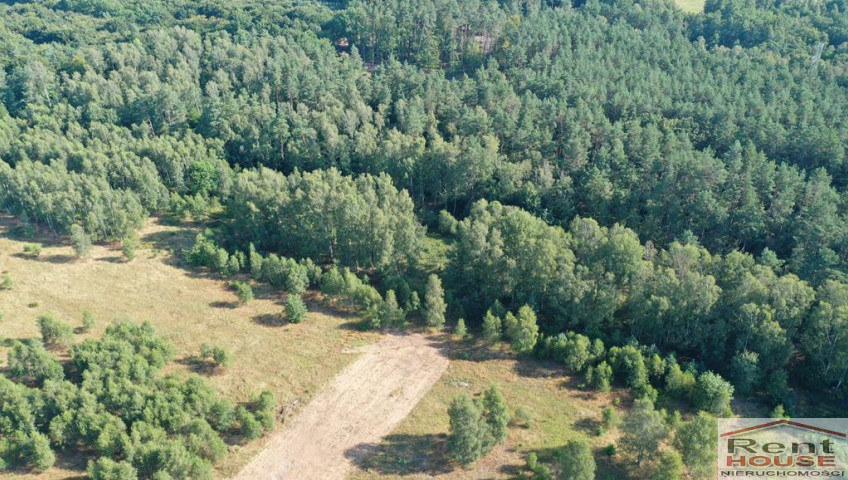 Działka Sprzedaż Krzywice