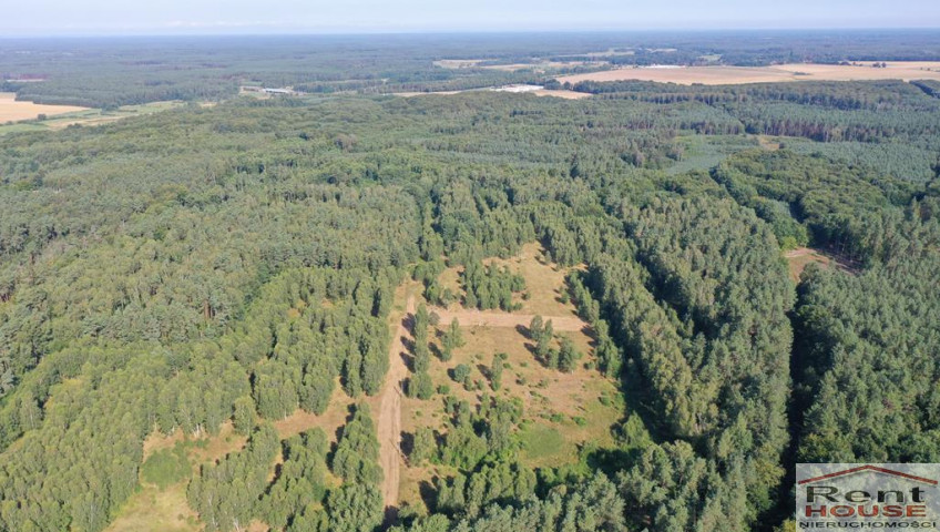 Działka Sprzedaż Krzywice