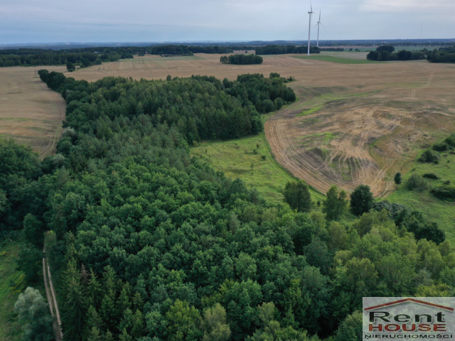 Działka Sprzedaż Prusinowo