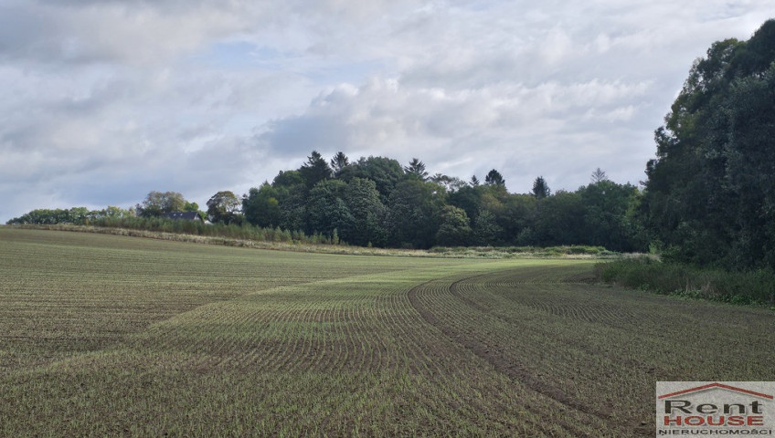 Działka Sprzedaż Niekładź
