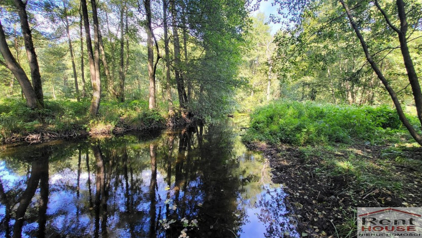 Działka Sprzedaż Staw