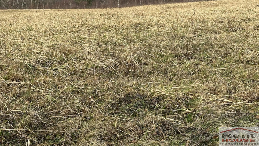 Działka Sprzedaż Storkowo