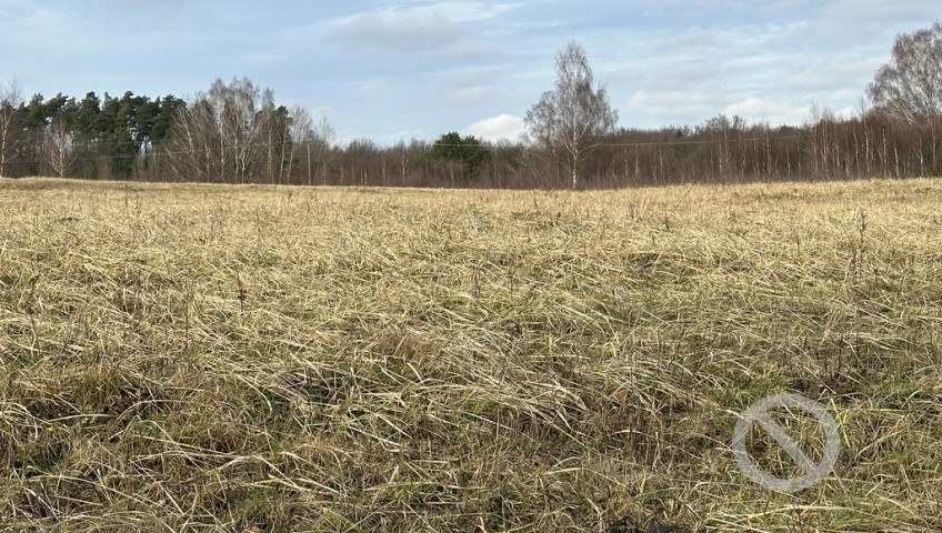 Działka Sprzedaż Storkowo