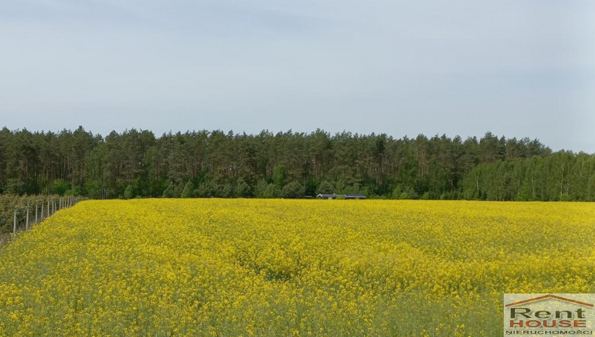 Działka Sprzedaż Stawno