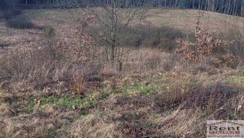 Działka Sprzedaż Zieleniewo