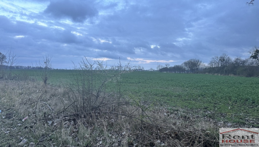 Działka Sprzedaż Ryszewko