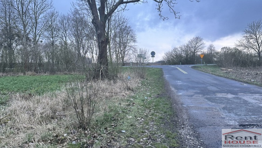Działka Sprzedaż Ryszewko
