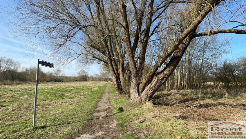 Działka Sprzedaż Trzebież