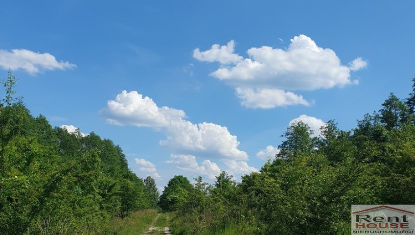 Działka Sprzedaż Zieleniewo