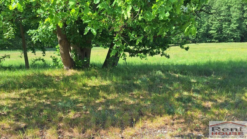 Działka Sprzedaż Tanowo Szczecińska