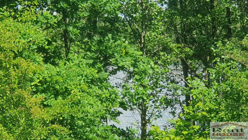 Działka Sprzedaż Zieleniewo