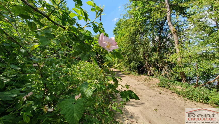 Działka Sprzedaż Zieleniewo