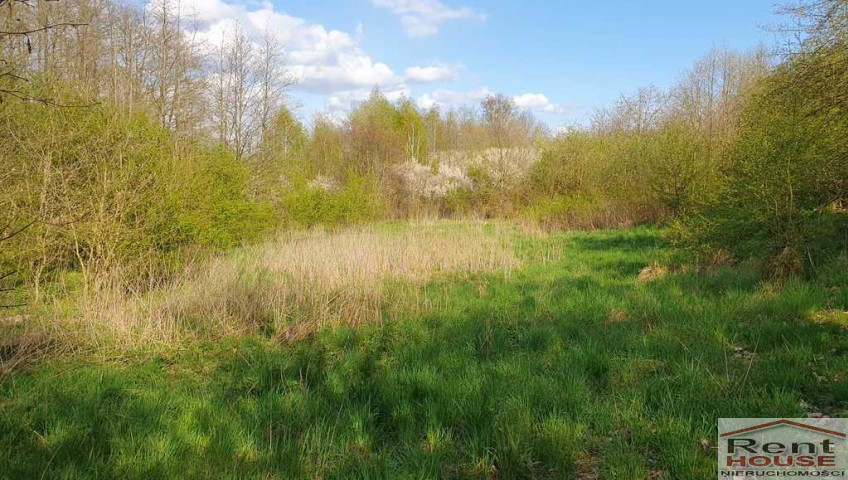Działka Sprzedaż Zieleniewo