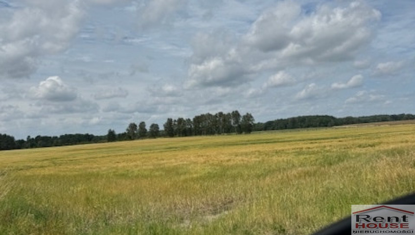 Działka Sprzedaż Dobropole